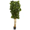 Homplanti 7' Fiddle Leaf Fig Tree