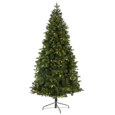 Homplanti 7' Grand Teton Flat Back Xmas Tree W/220 Leds And 953 Tips