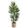 Homplanti 7' Kentia Palm In Handmade Natural Cotton Planter