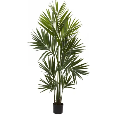 Homplanti 7' Kentia Palm X 12 W/230 Lvs