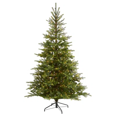 Homplanti 7' North Carolina Spruce Xmas Tree W/450 Leds & 931 Tips