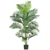 Homplanti 7' Paradise Palm Tree W/21 Lvs