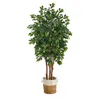 Homplanti 7' Sakaki Tree W/1862 Branches In Jute And Cotton Planter