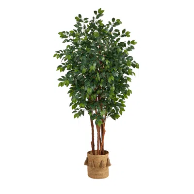 Homplanti 7' Sakaki Tree W/1862 Lvs In Natural Jute Planter W/tassels