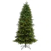 Homplanti 7' South Carolina Fir Artificial Christmas Tree W/550 Leds