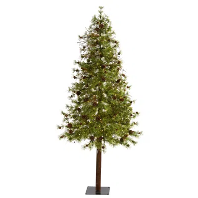 Homplanti 7' Wyoming Alpine Christmas Tree With 200 Clear Led Lights In Green