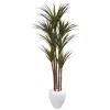 Homplanti 70" Giant Yucca Tree In White Planter Uv Resistant