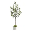 Homplanti 70" Olive Artificial Tree In White Tin Planter