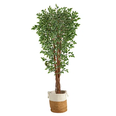 Homplanti 70" Variegated Ficus Tree In Jute Planter Uv(indoor/outdoor)
