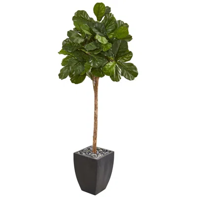 Homplanti 71" Fiddle Leaf Fig Artificial Tree In Black Planter
