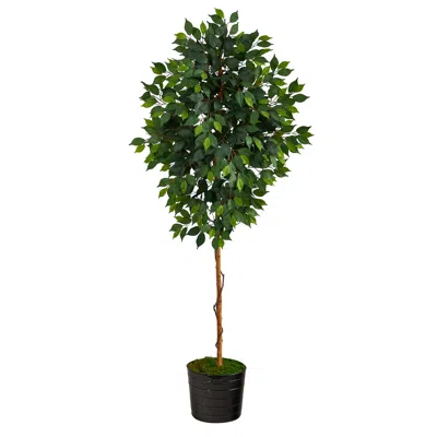 Homplanti 74" Ficus Artificial Tree In Black Tin Planter