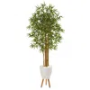 Homplanti 74" Multi Bambusa Bamboo Tree In Planter With Stand