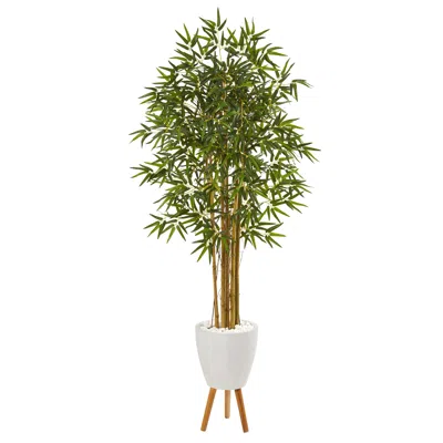 Homplanti 74" Multi Bambusa Bamboo Tree In Planter With Stand