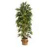 Homplanti 75" Bamboo Tree In Handmade Jute Planter With Tassels