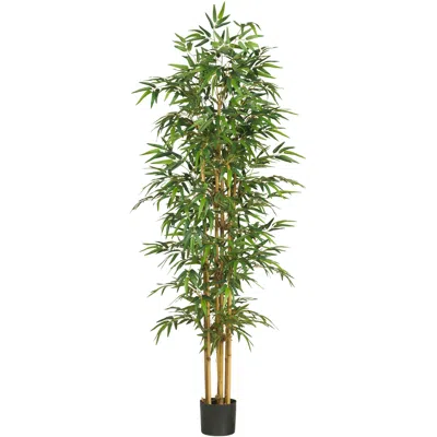Homplanti 75" Bamboo Tree W/1440 Lvs