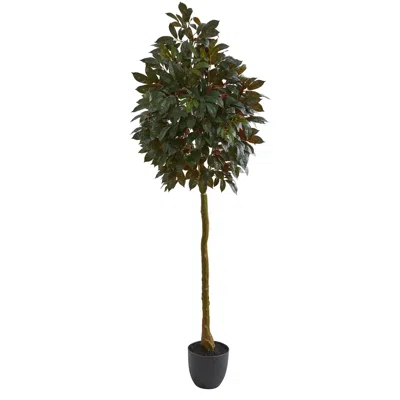 Homplanti 75" Capensia Ficus Artificial Tree In Green