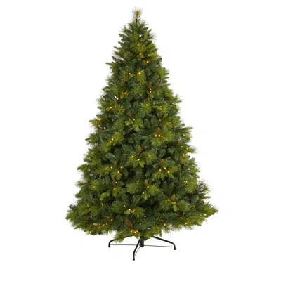 Homplanti 7.5' Carolina Pine Xmas Tree W/470 Leds, 1895 Tips & Cones In Green