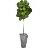Homplanti 75" Fiddle Leaf Artificial Tree In Cement Planter