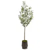 Homplanti 75" Olive Artificial Tree In Ribbed Metal Planter