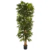 Homplanti 7.5' Phoenix Palm Tree X 12 W/1988 Lvs
