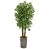 Homplanti 76" Parlour Palm Tree In Copper Trimmed Metal Planter