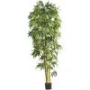 Homplanti 8' Biggy Style Bamboo Tree X 6 W/1920 Lvs