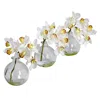 Homplanti 8" Cymbidium W/vase (set Of 3)