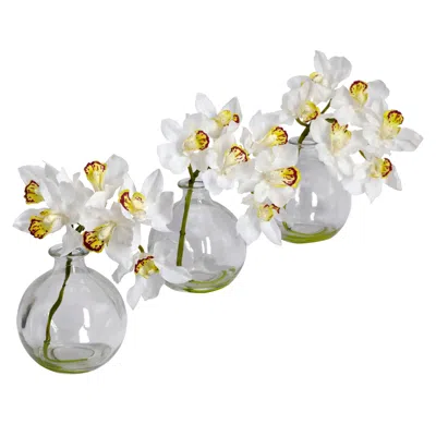 Homplanti 8" Cymbidium W/vase (set Of 3)