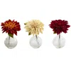 Homplanti 8" Dahlia W/vase (set Of 3)