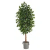 Homplanti 8' Ficus Tree In Handmade Black & White Natural Jute Planter