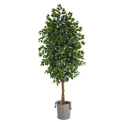 Homplanti 8' Ficus Tree In Handmade Black & White Natural Jute Planter