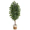 Homplanti 8' Ficus Tree With Handmade Natural Jute And Cotton Planter