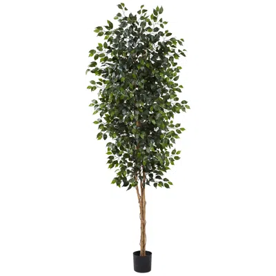 Homplanti 8' Ficus Tree X 3 W/1512 Lvs