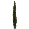 Homplanti 8' Mini Cedar Pine Tree W/4249 Tips (indoor/outdoor)
