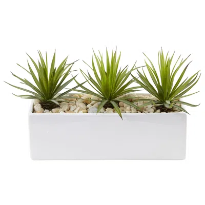 Homplanti 8" Mini Spiked Agave Succulent In Rectangular Planter