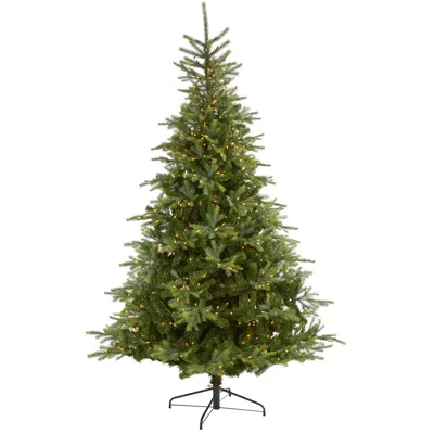 Homplanti 8' North Carolina Spruce Xmas Tree W/650 Leds & 1303 Tips In Green