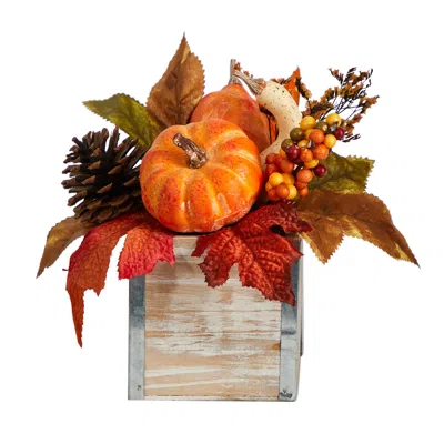 Homplanti 8" Pumpkin And Pinecones Arrangement In Natural Washed Vase