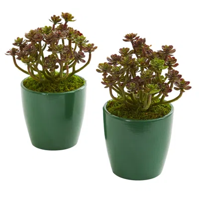 Homplanti 8" Sedum Artificial Plant In Green Planter (set Of 2) In Blue
