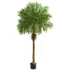 Homplanti 80" Robellini Palm Artificial Tree