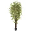 Homplanti 84" Mini Ficus Multi Creepers Trunk X 4 W/4131 Lvs