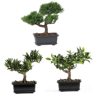 Homplanti 8.5" Bonsai Silk Plant Collection (set Of 3)