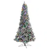 Homplanti 8.5' Flocked British Columbia Mountain Fir Christmas Tree