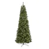 Homplanti 9' Cashmere Slim Xmas Tree W/550 Lights And 1308 Tips