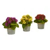 Homplanti 9" Kalanchoe Artificial Plants (set Of 3)