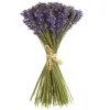 Homplanti 9" Lavender Bundle (144 Lavender Floral Included)