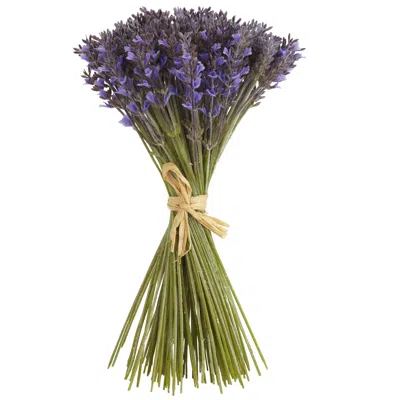 Homplanti 9" Lavender Bundle (144 Lavender Floral Included)