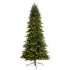 Homplanti 9' South Carolina Fir Artificial Christmas Tree W/750 Leds
