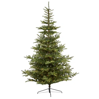 Homplanti 9' Washington Spruce Xmas Tree With 750 Leds & 2055 Tips In Green