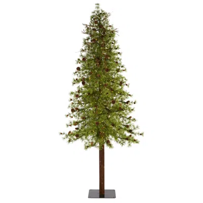 Homplanti 9' Wyoming Alpine Christmas Tree With 300 Clear Led Lights
