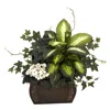Homplanti African Violet Dieffenbachia & Ivy W/chest Silk Plant